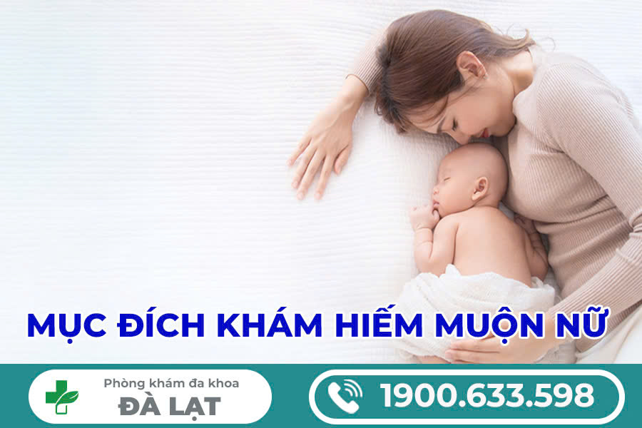 Hình ảnh minh họa